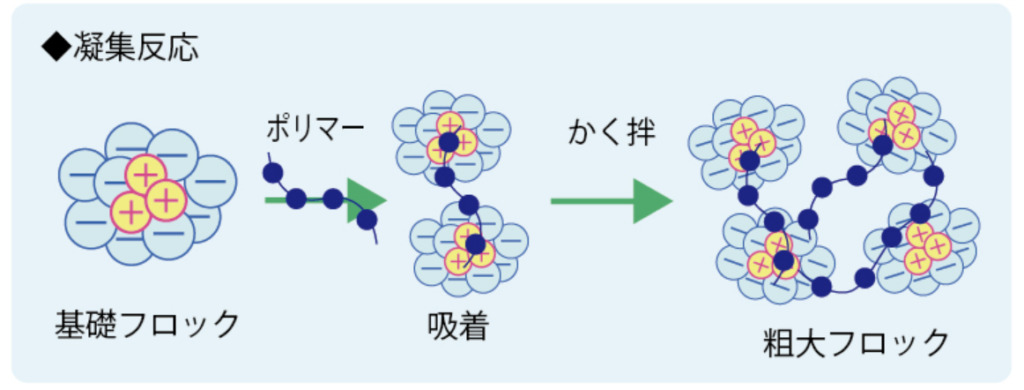 「凝集」のイメージ図