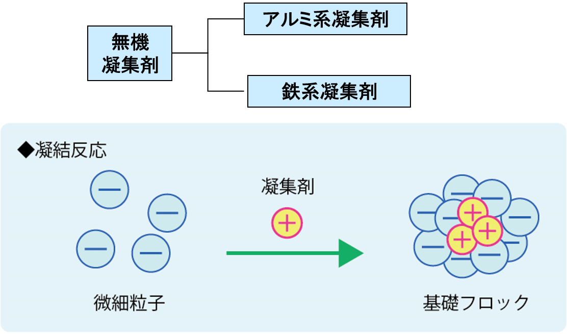 凝結メカニズム