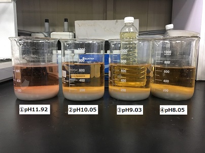 何は無くともph調整 株式会社ネクストリー