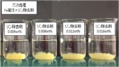 画像の説明