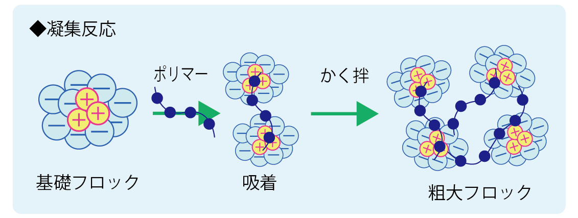 画像の説明